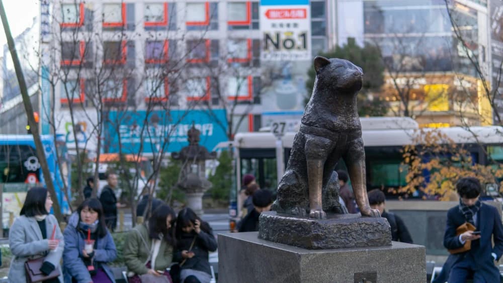 La fabuleuse histoire d’Hachikō